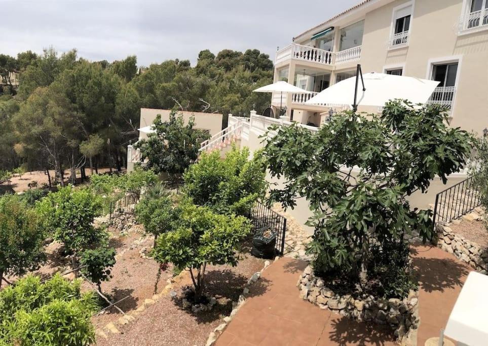 فيلا Casa Orient ألتيا المظهر الخارجي الصورة